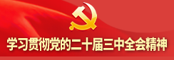 学习贯彻党的二十届三中全会精神