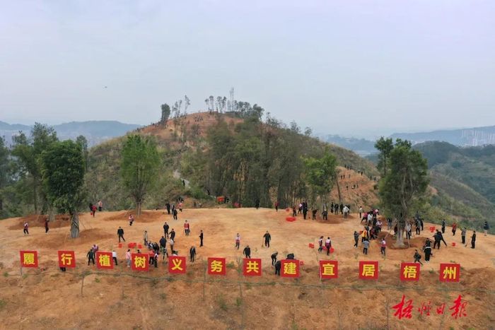 4_结果.jpg